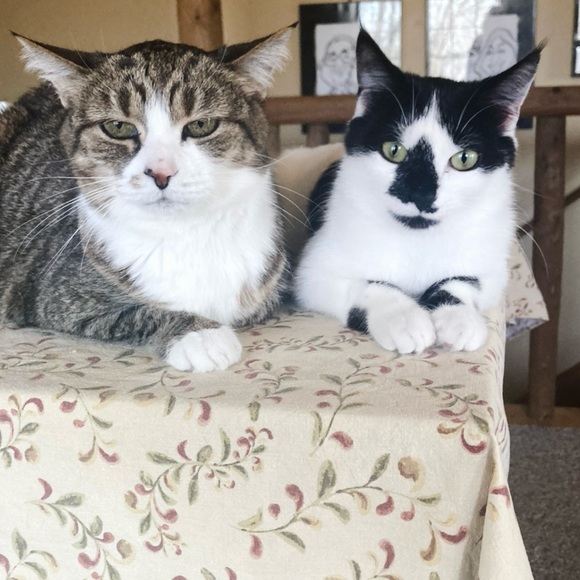 🎨FUZZ IS LIVE! NO THEME SHARE SHOW🎨 - Picture 8 of 13